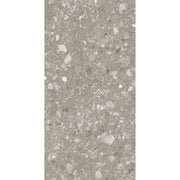 Feinsteinzeug Terra Greige 60x120_4823107802317