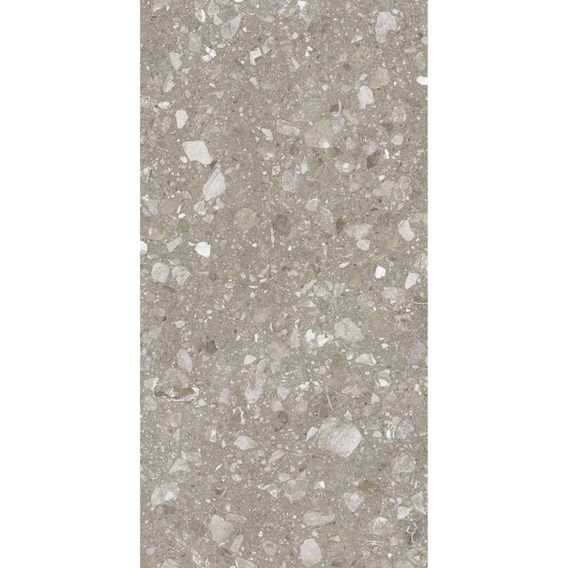 Feinsteinzeug Terra Greige 60x120_4823107802317