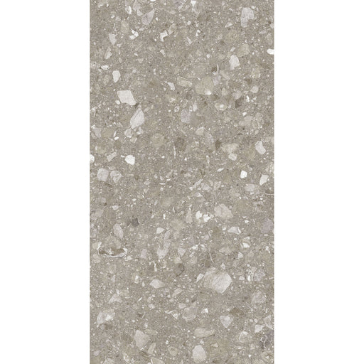 Feinsteinzeug Terra Greige 60x120_4823107802317