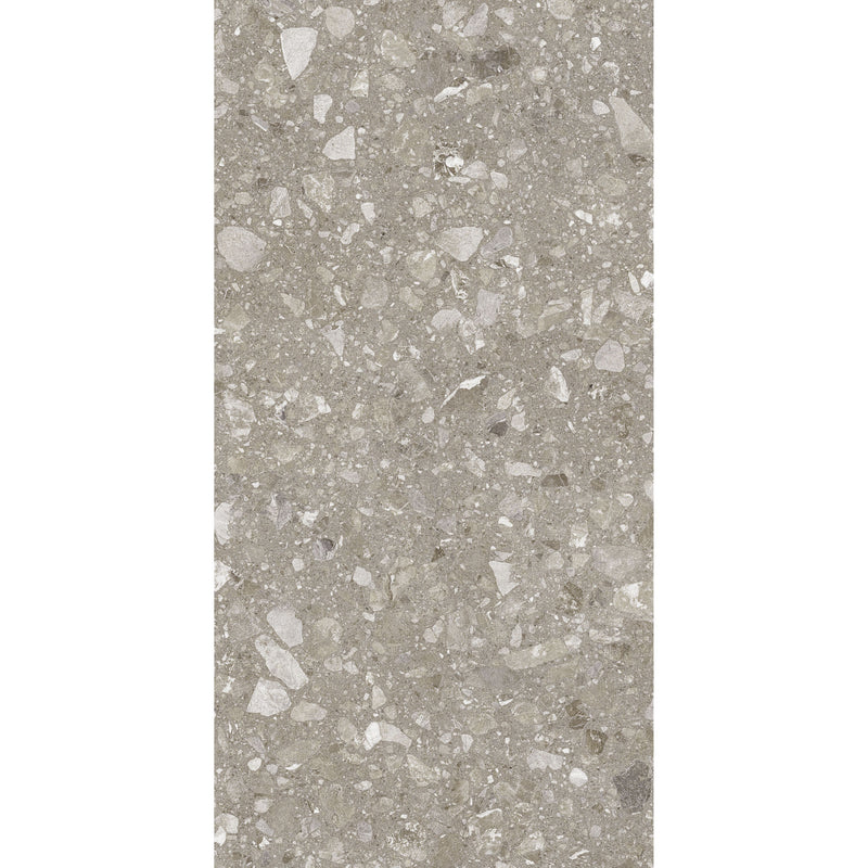 Feinsteinzeug Terra Greige 60x120_4823107802317