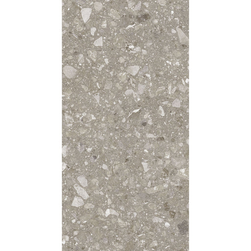 Feinsteinzeug Terra Greige 60x120_4823107802317