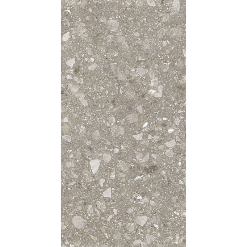 Feinsteinzeug Terra Greige 60x120_4823107802317