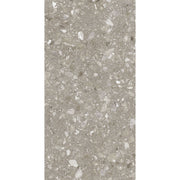Feinsteinzeug Terra Greige 60x120_4823107802317