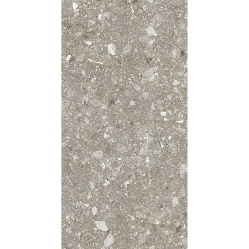 Feinsteinzeug Terra Greige 60x120_4823107802317