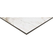 Visage Weiß 60x120x0,9cm, Poliert - FliesenExpress - Fliesen Günstig Kaufen