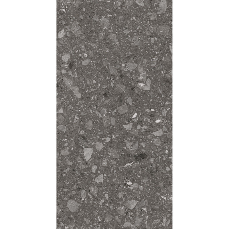 Feinsteinzeug Terra Anthracite 60x120_4823107805950
