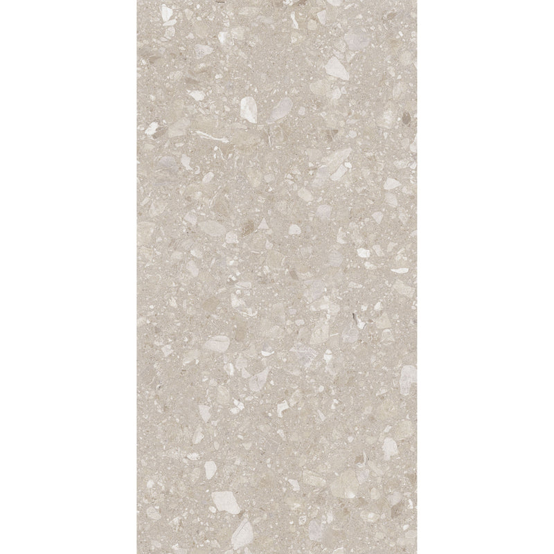 Feinsteinzeug Terra Beige 60x120_4823107805967