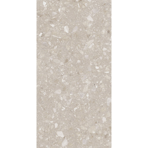 Feinsteinzeug Terra Beige 60x120_4823107805967