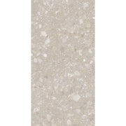 Feinsteinzeug Terra Beige 60x120_4823107805967