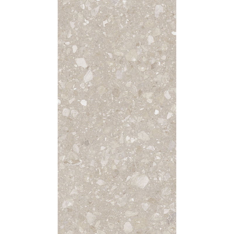Feinsteinzeug Terra Beige 60x120_4823107805967
