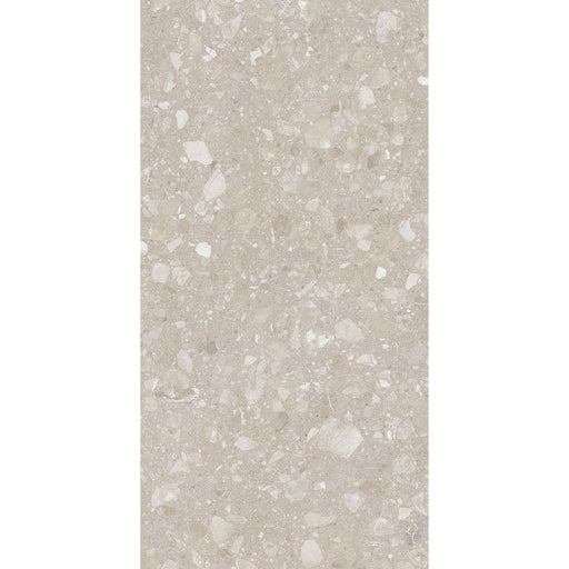 Feinsteinzeug Terra Beige 60x120_4823107805967