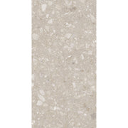 Feinsteinzeug Terra Beige 60x120_4823107805967
