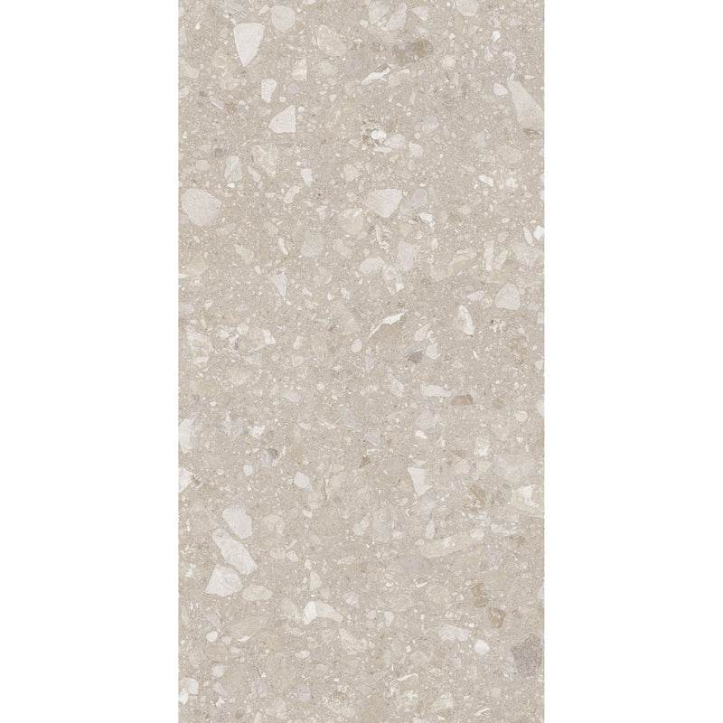 Feinsteinzeug Terra Beige 60x120_4823107805967