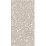 Feinsteinzeug Terra Beige 60x120_4823107805967