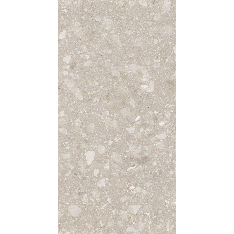 Feinsteinzeug Terra Beige 60x120_4823107805967