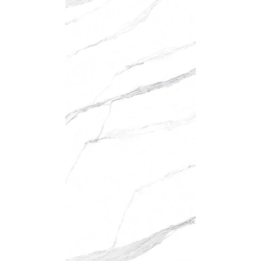 Feinsteinzeug Statuario Classic A4 60x120_4330542109517