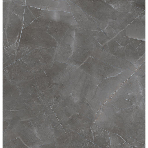 Feinsteinzeug Turin Grey 100x100_8692844009787
