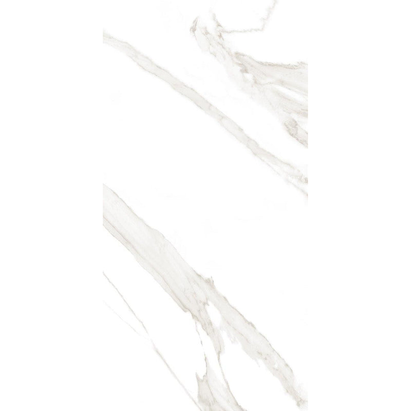 Feinsteinzeug Statuario Light 60x120_4330542110339