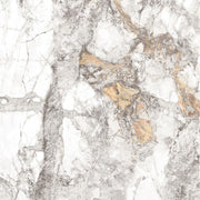 Feinsteinzeug Topas Marble White Gold 60x60_4330542122547