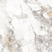 Feinsteinzeug Topas Marble White Gold 60x60_4330542122547