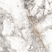 Feinsteinzeug Topas Marble White Gold 60x60_4330542122547