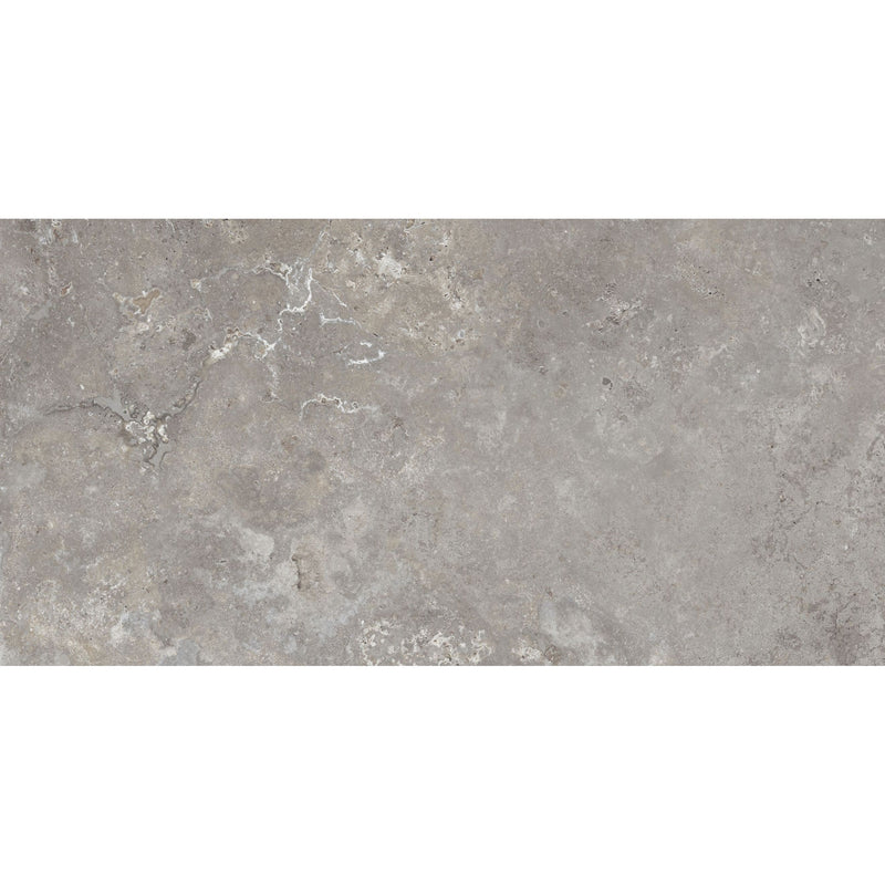 Feinsteinzeug Camarque Gris 60x120_4330542118502