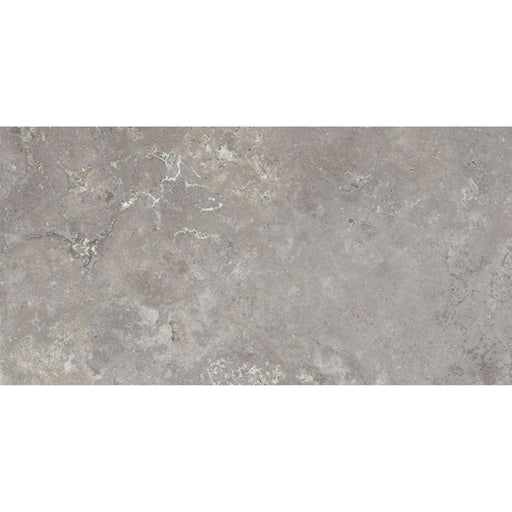 Feinsteinzeug Camarque Gris 60x120_4330542118502