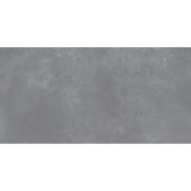 Feinsteinzeug Luna Coolgrey 60x120_8681575066305