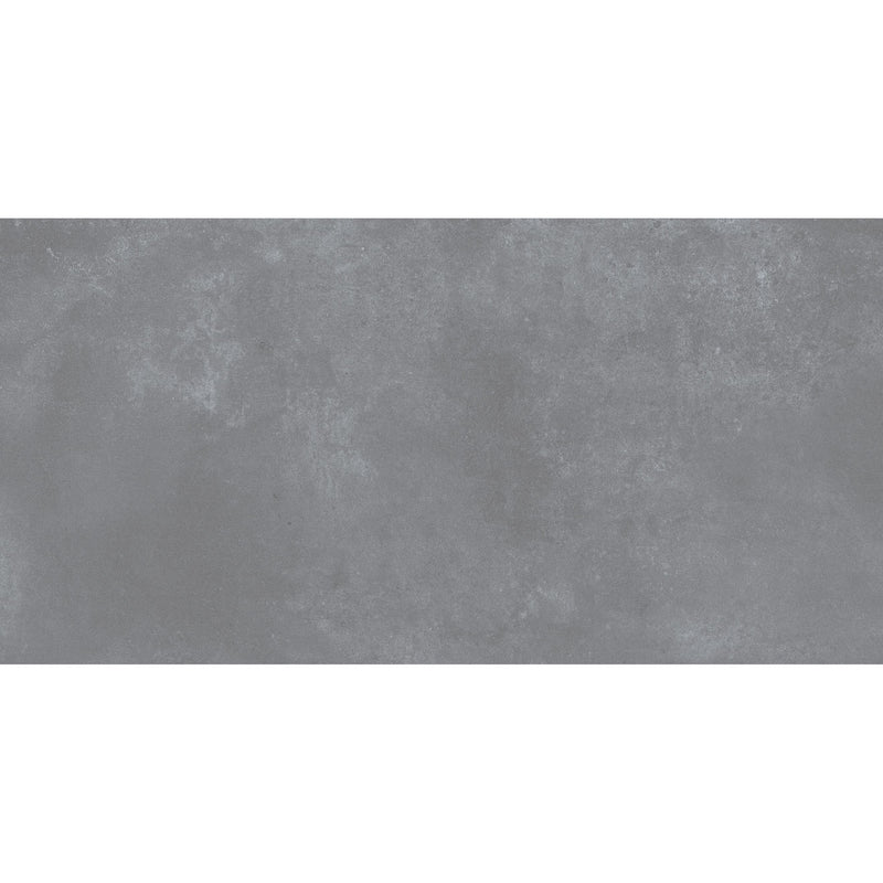 Feinsteinzeug Luna Coolgrey 60x120_8681575066305