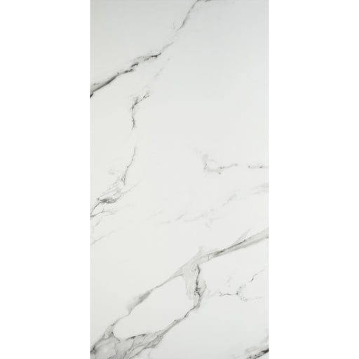 Feinsteinzeug Marmor Statuario 60x120_4330542084241