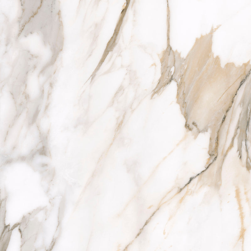 Feinsteinzeug Calacatta Gold 60x60_4823107812897