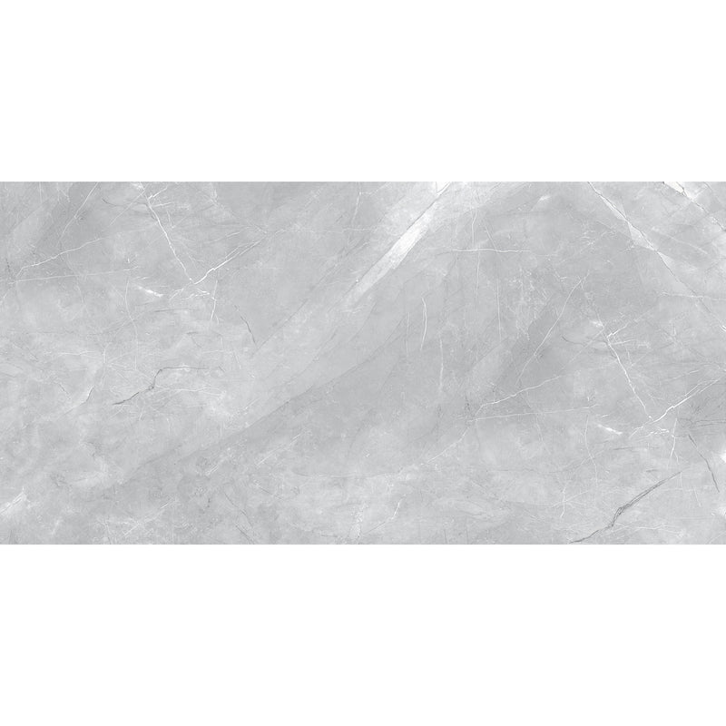 FSZ Premium Marble Messina Grau 30x60cm - FliesenExpress - Fliesen günstig kaufen_4330542098675