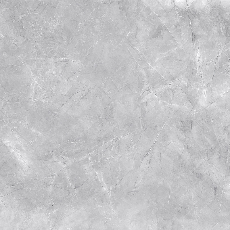 FSZ Premium Marble Messina Grau 60x60cm - FliesenExpress - Fliesen günstig kaufen_4330542098811