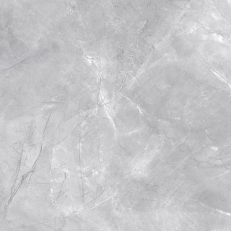 FSZ Premium Marble Messina Grau 60x60cm - FliesenExpress - Fliesen günstig kaufen_4330542098811