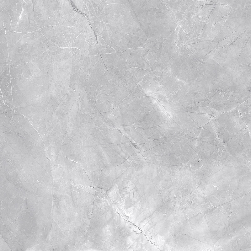 FSZ Premium Marble Messina Grau 60x60cm - FliesenExpress - Fliesen günstig kaufen_4330542098811