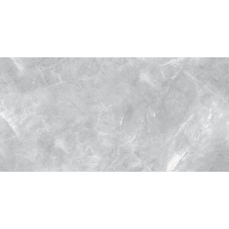 FSZ Premium Marble Messina Grau 60x120cm - FliesenExpress - Fliesen günstig kaufen_4330542098828