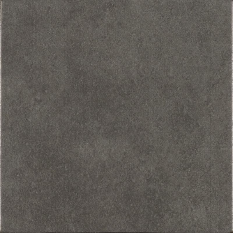 Art Dunkelgrau uni 22x22cm - FliesenExpress - Fliesen günstig kaufen_8429991301422