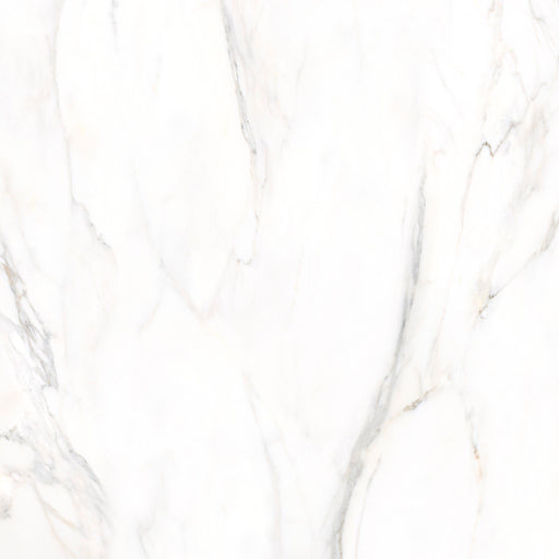 Premium Marble Calacatta Poliert 78x78x1,1cm - FliesenExpress - Fliesen Günstig Kaufen
