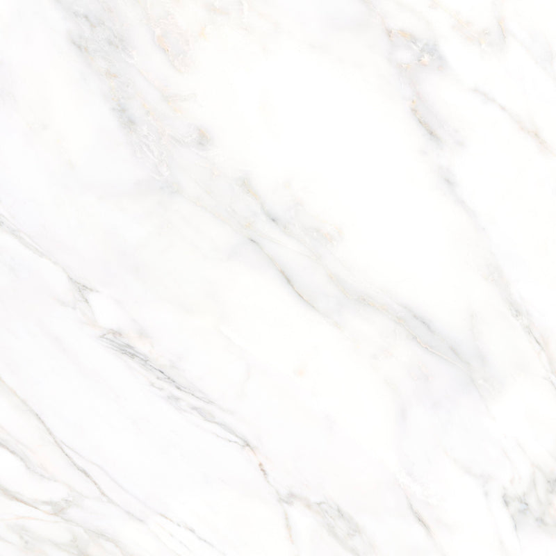 Premium Marble Calacatta Poliert 78x78x1,1cm - FliesenExpress - Fliesen Günstig Kaufen_8691273005315