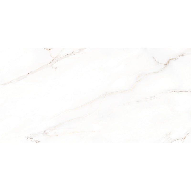 Feinsteinzeug Premium Marble Calacatta 58x118cm - FliesenExpress - Fliesen günstig kaufen_8691273905905