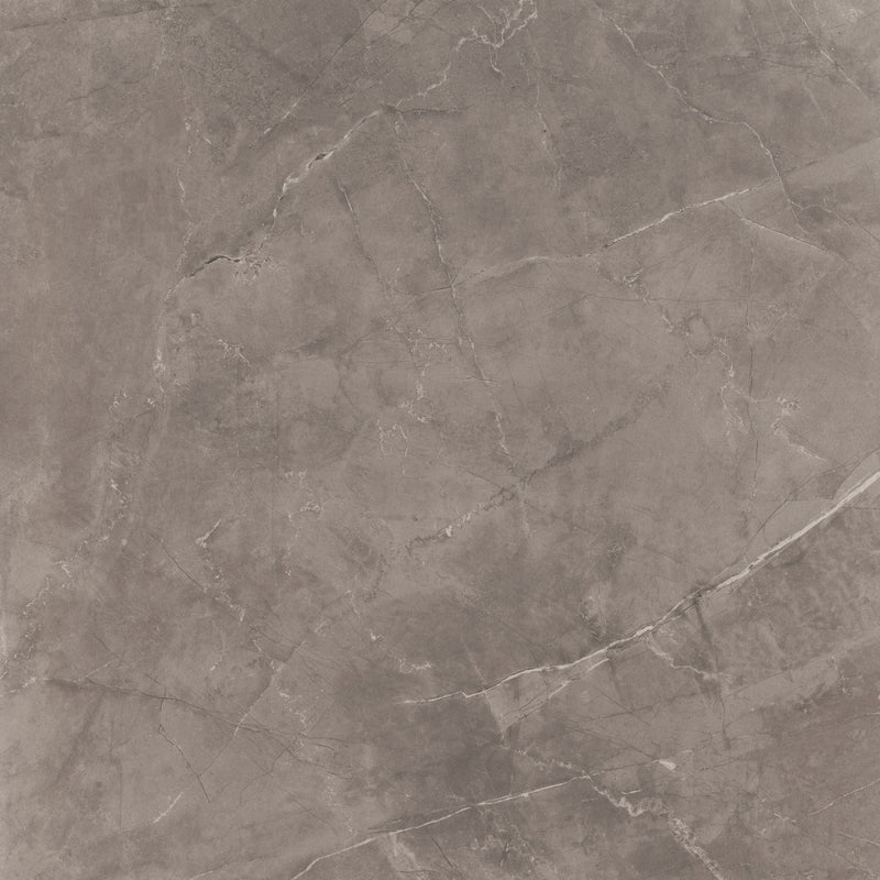 Feinsteinzeug Premium Marble Grey 80x80cm - FliesenExpress - Fliesen günstig kaufen_8697819033064