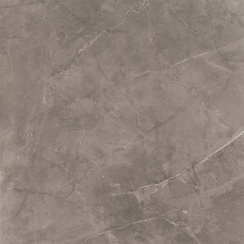 Feinsteinzeug Premium Marble Grey 80x80cm - FliesenExpress - Fliesen günstig kaufen_8697819033064