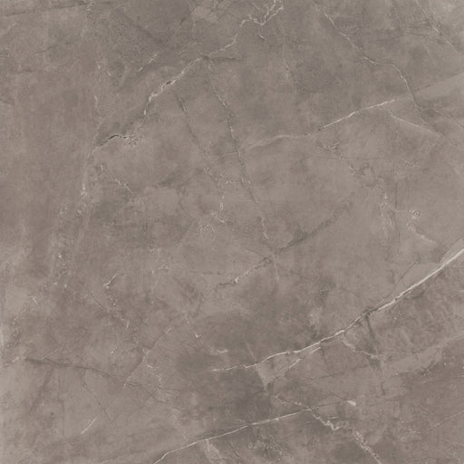 Feinsteinzeug Premium Marble Grey 80x80cm - FliesenExpress - Fliesen günstig kaufen_8697819033064
