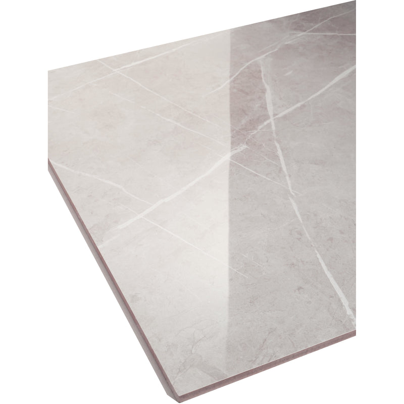 Feinsteinzeug Chelsea Grau 58x58cm - FliesenExpress - Fliesen günstig kaufen_8691273438502