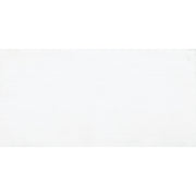 Desire Weiß 30x60cm - FliesenExpress - Fliesen günstig kaufen_8691273147602