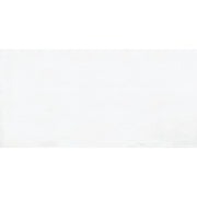Desire Weiß 30x60cm - FliesenExpress - Fliesen günstig kaufen_8691273147602