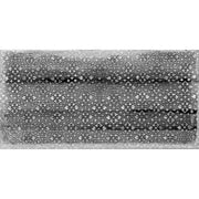 Feinsteinzeug Desire Anthrazit DEKOR 30x60cm - FliesenExpress - Fliesen günstig kaufen_8691273150305
