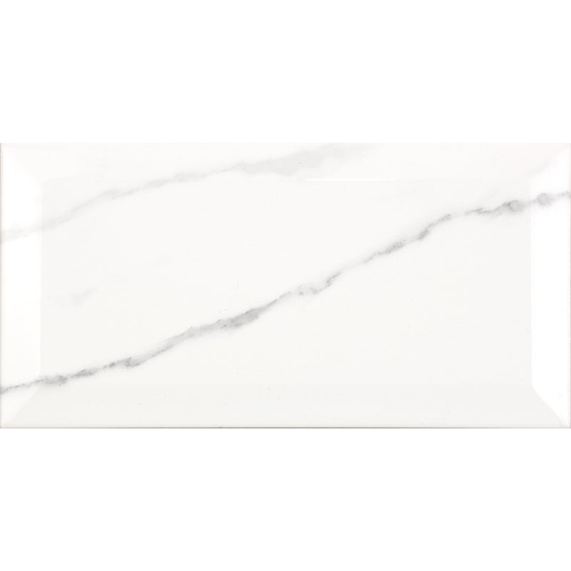 Facettenfliesen Metro Carrara glänzend 10x20cm - FliesenExpress - Fliesen günstig kaufen_4330542099122