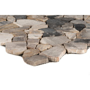 Poly Fossil Wood_4330542073757