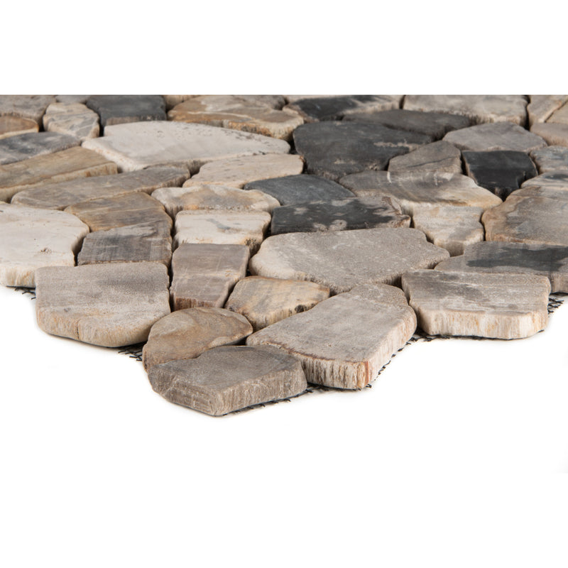 Poly Fossil Wood_4330542073757